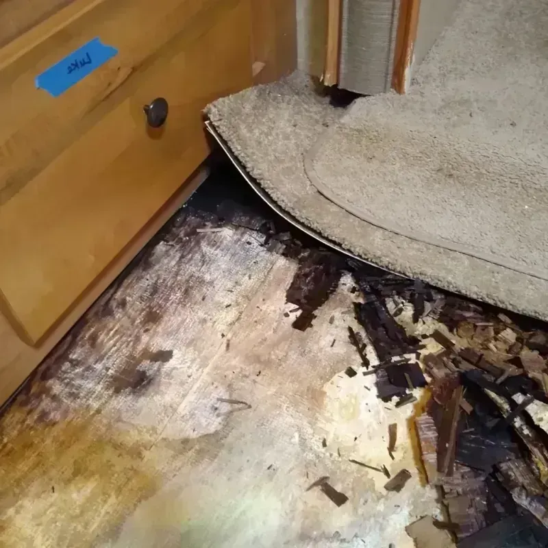 Best Wood Floor Water Damage Service in Ravenel, SC